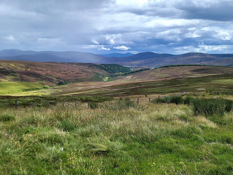 Cairngorms Snow Roads Scenic Route