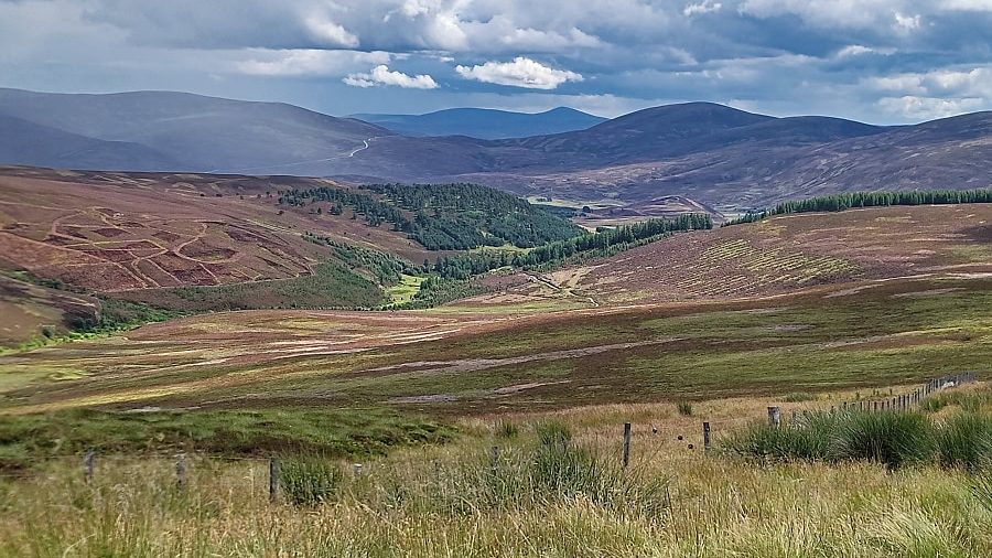 Cairngorms - Snow Roads Scenic Route