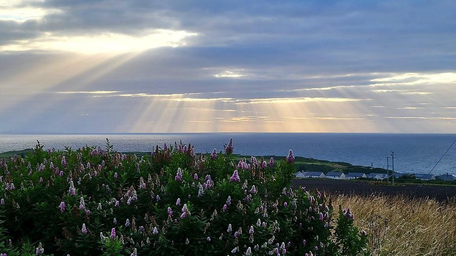 Blick vom Minicampingplatz in Mike's Garten bei Findochty, Moray Coast