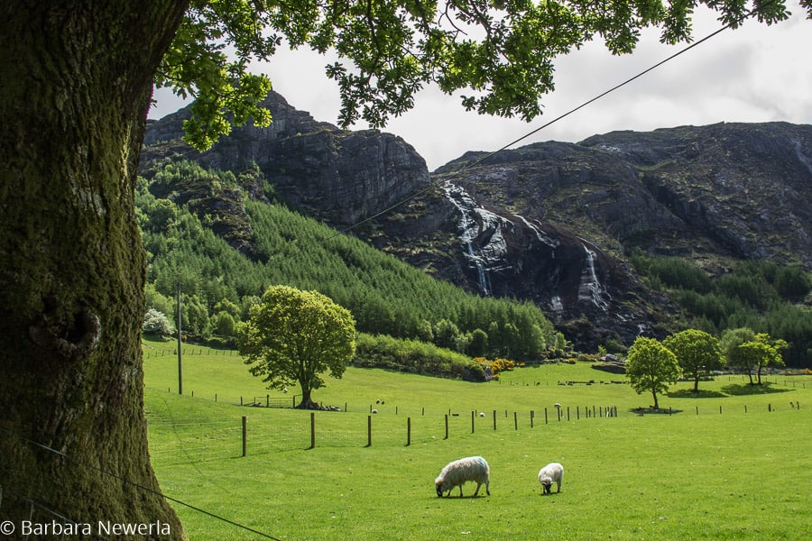 Der Landschaftspark von Gleninchaquin 3 Gleninchaquin 2