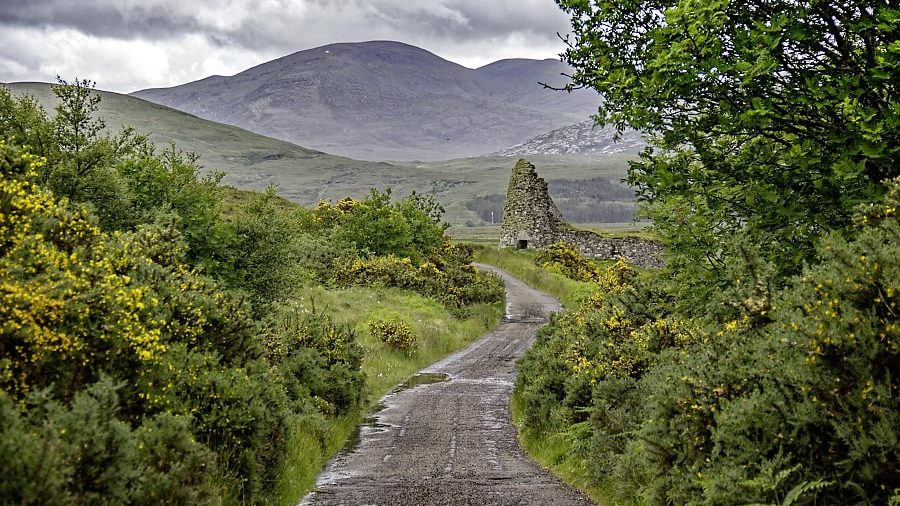 IMG 4687 DxO 1 1 edited