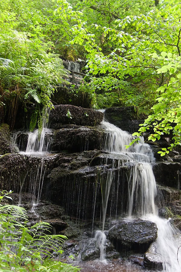 The Birks of Aberfeldy 1