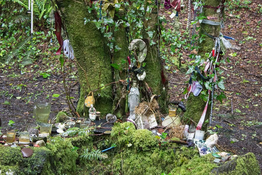 Sheep´s Head und Lough Hyne 3 Lough Hyne 1