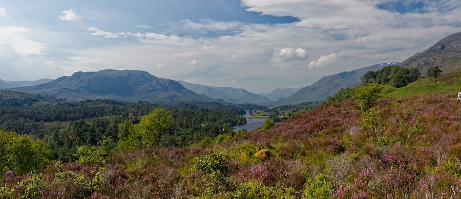 Am Meallan Viewpoint, Glen Affric
