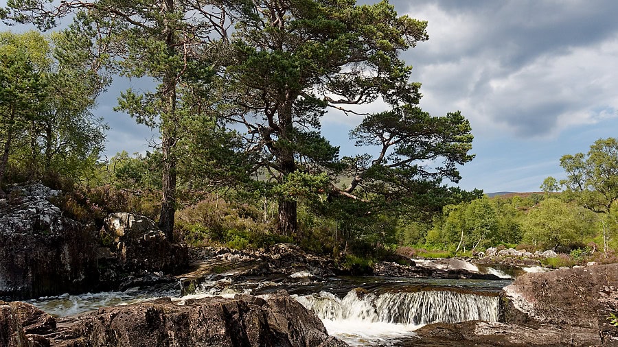 Ricer Affric Trail