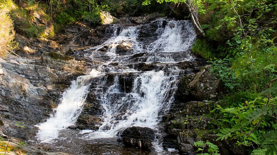 Plodda Falls