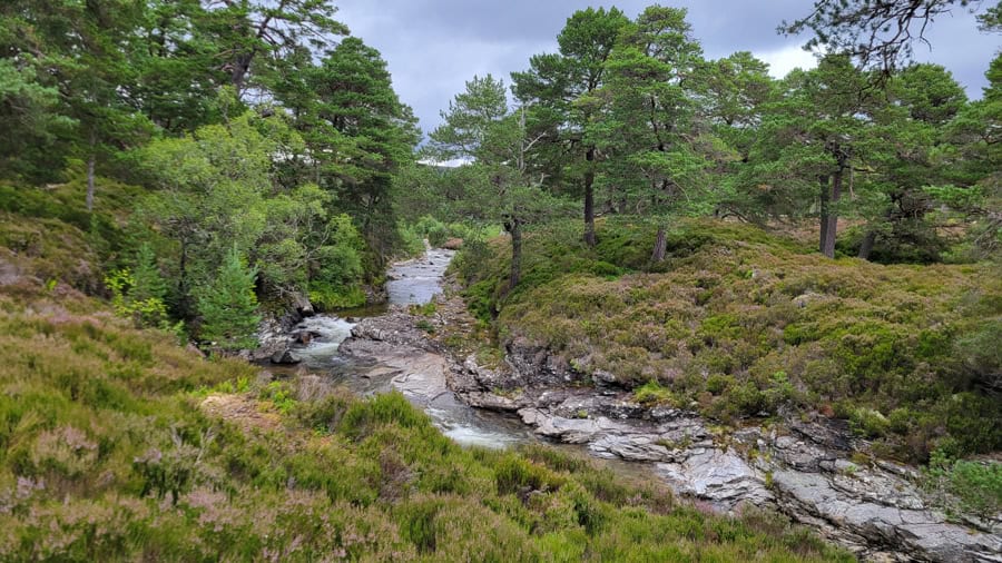 Die Top 20 Sehenswürdigkeiten in Schottland 9 Top 20 Sehenswürdigkeiten - Cairngorms Nationalpark Upper Deeside